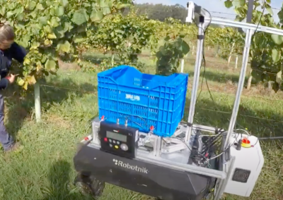 Demo harvesting assistance robot in European Project Flexigrobots (September 2023)